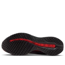 Nike Pegasus Premium - Design Contemporain Standards Premium